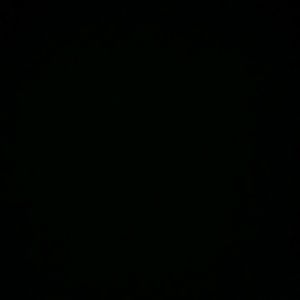 Meet your Posher, Ty